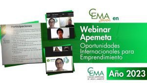 APEMETA - Oportunidades Internacionales para Emprendimiento